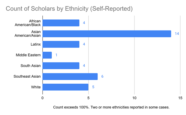 gen pinc 2025 26 cohort by ethnicity