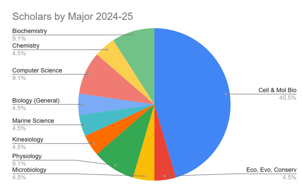 Scholars by major 2024-25.png